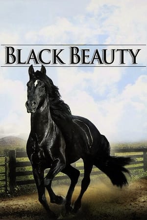 Black Beauty portada