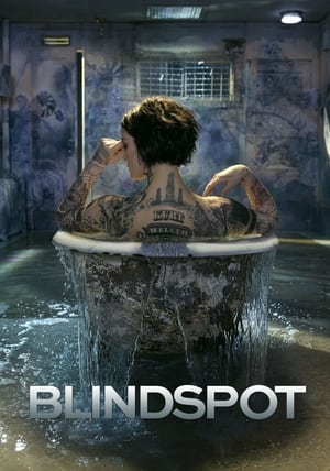 Blindspot portada