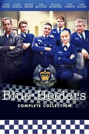 Blue Heelers portada