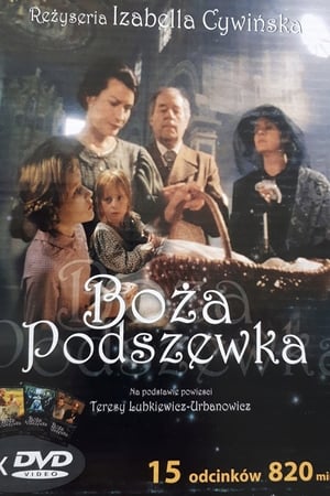 Boza podszewka portada