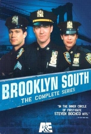 Brooklyn South portada