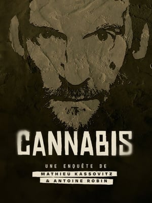 Cannabis : la série documentaire portada