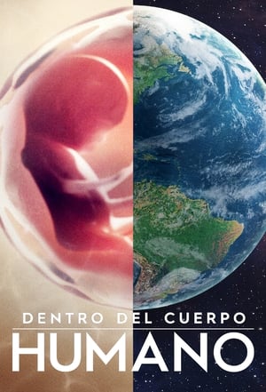 Dentro del cuerpo humano portada