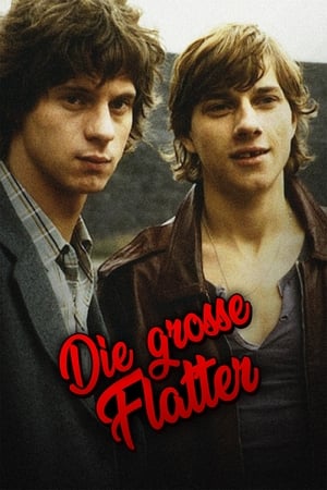 Die große Flatter portada