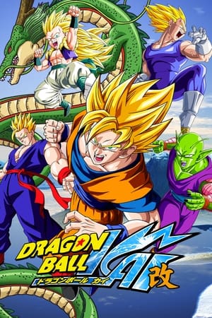 Dragon Ball Kai portada