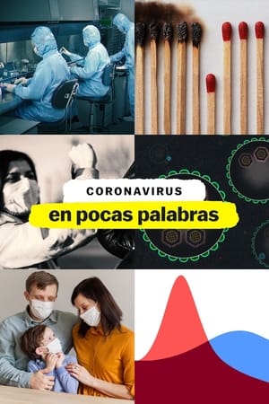 El coronavirus, en pocas palabras portada