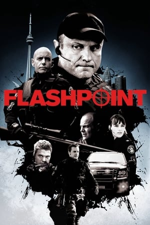 Flashpoint portada