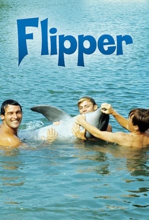 Flipper portada