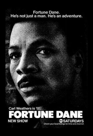 Fortune Dane portada