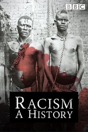 La Historia del Racismo portada