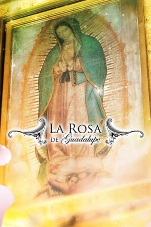 La rosa de Guadalupe portada