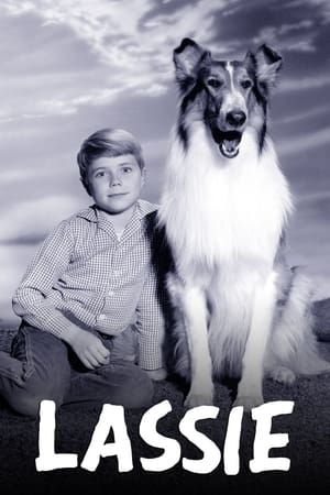 Lassie portada