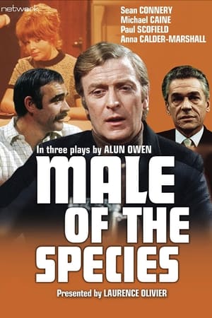 Male of the Species portada