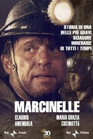 Marcinelle portada