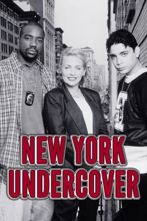 New York Undercover portada