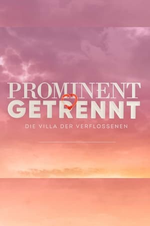 Prominent getrennt - Die Villa der Verflossenen portada