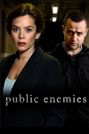 Public Enemies portada