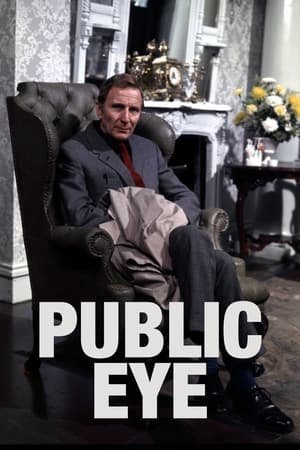 Public Eye portada