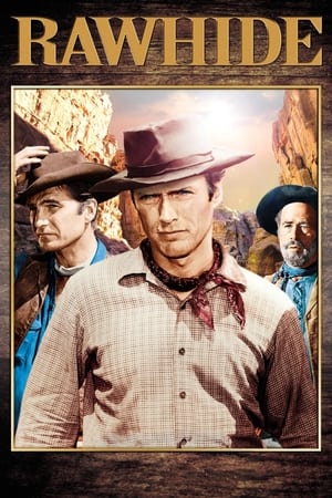 Rawhide portada