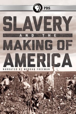 Slavery and the Making of America portada