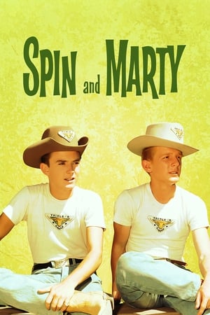 Spin and Marty portada