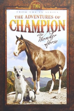 The Adventures of Champion portada