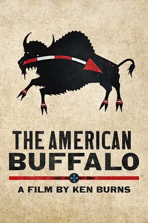 The American Buffalo portada