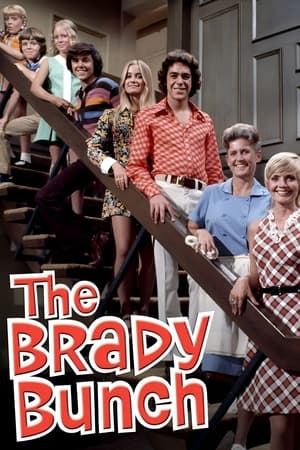 The Brady Bunch portada