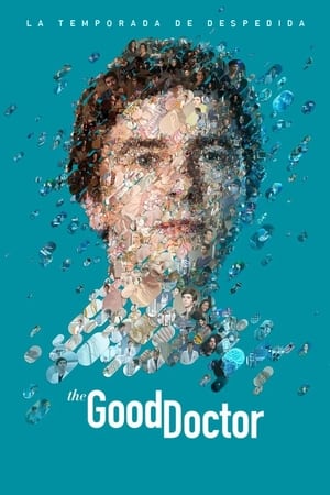 The Good Doctor portada