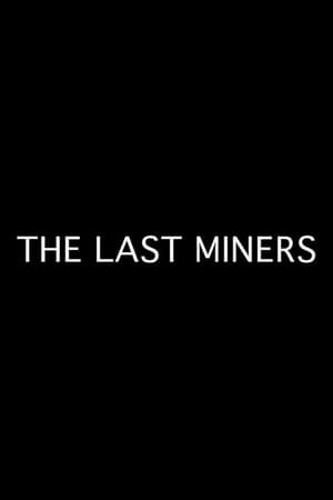 The Last Miners portada