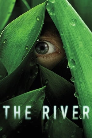 The River portada