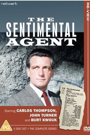 The Sentimental Agent portada