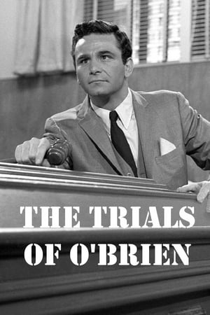 The Trials of O'Brien portada