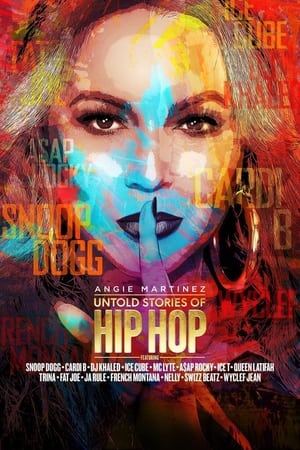 Untold Stories of Hip Hop portada