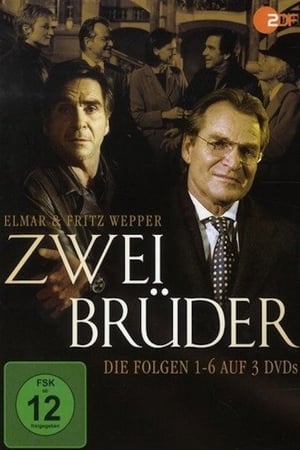 Zwei Brüder portada