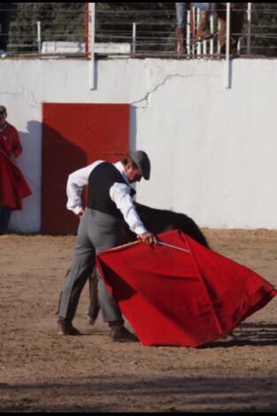 Tierra de toros en la programación de Canal Extremadura Sat (Toros)