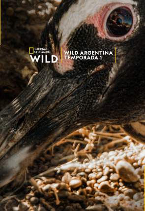 Wild Argentina · Tierra de agua en la programación de Nat Geo Wild HD (Naturaleza)