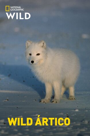 Wild Ártico: Islas de hielo y fuego en la programación de Nat Geo Wild HD (Documentales)