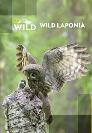 Wild Laponia portada